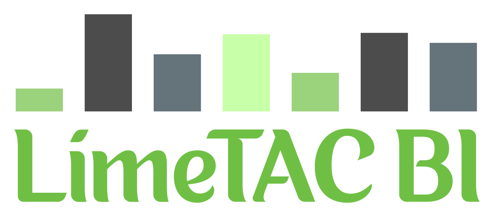 LimeTAC BI logo with bar chart motif above the words 'LimeTAC BI'
